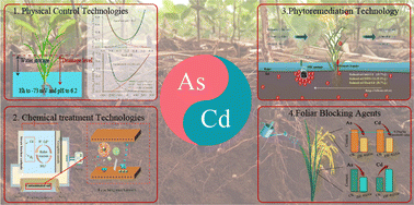 Graphical abstract: A review of research progress on prevention and control technologies for arsenic and cadmium composite pollution in paddy soil