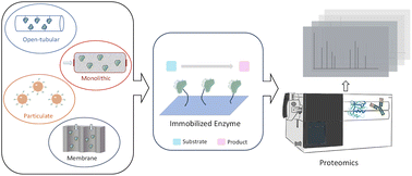 Graphical abstract: Micro-immobilized enzyme reactors for mass spectrometry proteomics