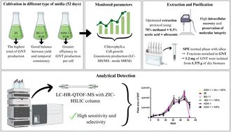 Graphical abstract: Optimized extraction and analytical protocols for guanitoxin: an organophosphate cyanobacterial neurotoxin of environmental concern
