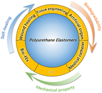 Graphical abstract: Recent advances in functional polyurethane elastomers: from structural design to biomedical applications