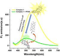 Graphical abstract: Aggregation-induced emission-active indium complex as fluorescent turn-off chemosensor for perfluoroalkyl substances
