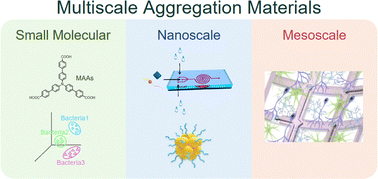 Graphical abstract: Multiscale aggregation materials for disease therapy and bioanalysis