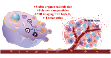 Graphical abstract: Stable organic radical luminescent groups and their applications in nano-diagnosis and therapy