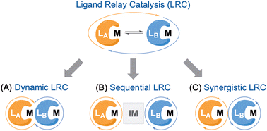 Graphical abstract: Ligand relay catalysis: concepts, principles, and applications in transition-metal catalysis
