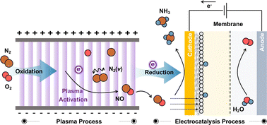 Graphical abstract: A roadmap for ammonia synthesis via electrocatalytic reduction of nitric oxide