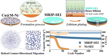 Graphical abstract: Helical counter-directional migration-induced solvation sheaths for constructing reinforced electrode–electrolyte interphases for ultra-stable anode-free lithium metal batteries