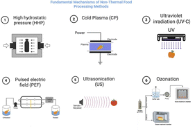Graphical abstract: Advances in non-thermal food processing: a comprehensive approach to nutrient retention, food quality, and safety