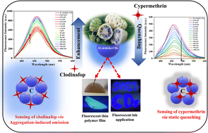 Graphical abstract: Fabrication of blue emissive carbon dots using Morinda citrifolia fruit pulp for clodinafop and cypermethrin detection via fluorescence turn-off and enhancement mechanisms