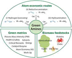 Graphical abstract: ‘Green’ synthesis of amines from renewable resources? A detailed analysis of case studies using the CHEM21 green metrics toolkit