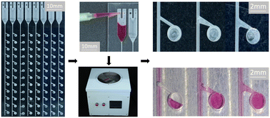 Graphical abstract: Analysis of and methods for void-free liquid filling of blind microchambers in centrifugal microfluidics
