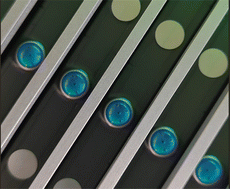 Graphical abstract: Mechanical actuation on surface (MAOS) microfluidics: compression for preparation in next-generation sequencing