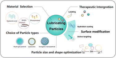 Graphical abstract: Lubricating nano/micro particles for osteoarthritis therapy