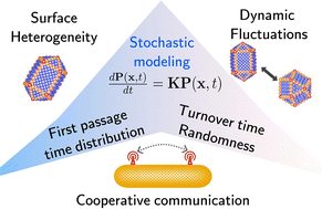 Graphical abstract: Stochastic dynamics of nanoparticle catalysis: a discrete-state perspective