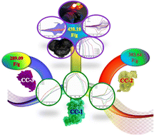 Graphical abstract: A comparative study on the synthesis strategies and electrochemical features of bimetallic Cu/Co-MOFs