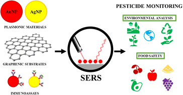 Graphical abstract: Surface-enhanced Raman spectroscopy as a tool for food and environmental monitoring of pesticides: recent trends and perspectives