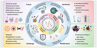 Graphical abstract: Engineering Bi2S3-based nanoreactors for antimicrobial applications: synthetic strategies, mechanistic insights, and practical implementations