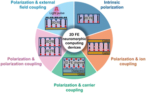 Graphical abstract: Two-dimensional ferroelectric synaptic devices enabled by diverse coupling mechanisms