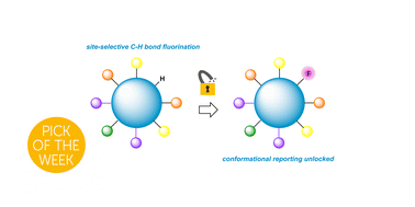 Graphical abstract: A highly selective C–H bond fluorination unlocks conformational reporting in a complex natural product derivative