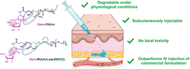 Graphical abstract: Degradable water-soluble polymer prodrugs for subcutaneous delivery of irritant anticancer drugs