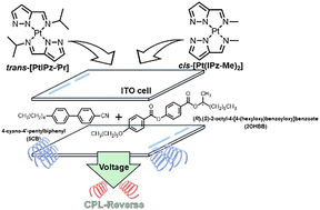 Graphical abstract: Electric-field-induced switching of circularly polarized luminescence in a multicomponent emissive liquid-crystal system