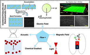 Graphical abstract: Dynamics of particles suspended in field-enhanced microscale flows
