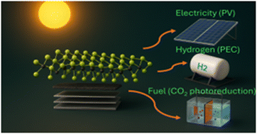 Graphical abstract: 2D transition metal dichalcogenides for photovoltaics, hydrogen production, and CO2 photoreduction