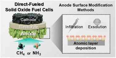 Graphical abstract: Surface modification strategies for direct methane and direct ammonia solid oxide fuel cell anodes: current approaches and future directions
