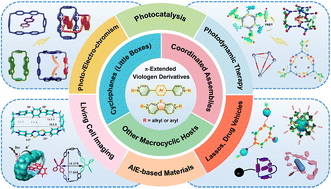 Graphical abstract: π-Extended viologen derivatives and their related macrocycles: from design and synthesis to photofunctional applications