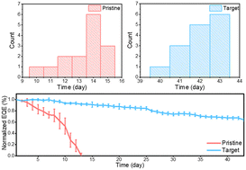 Graphical abstract: Prolonging the lifetime of quasi-2D perovskite blue LEDs via DMAcPA doping for defect passivation