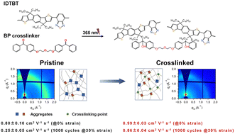 Graphical abstract: Short-range aggregation regulation of conjugated polymers: high mobility and cyclic tensile stability driven by chemical crosslinking