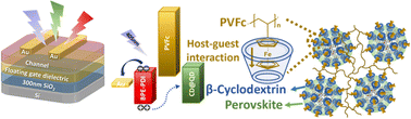 Graphical abstract: Improving the current stability of perovskite quantum dot phototransistors utilizing the ferrocene–cyclodextrin host–guest supramolecules as a floating gate dielectric
