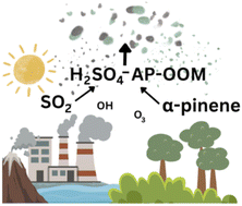 Graphical abstract: Nucleation of α-pinene oxidation products with sulfuric acid