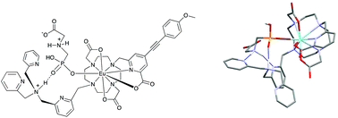 Graphical abstract: Selective signalling of glyphosate in water using europium luminescence