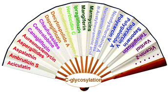 Graphical abstract: Recent progress of C-glycosylation methods in the total synthesis of natural products and pharmaceuticals