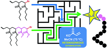 Graphical abstract: Acrylate-macromonomers and telechelics of PBA by merging biphasic SET-LRP of BA, chain extension with MA and biphasic esterification