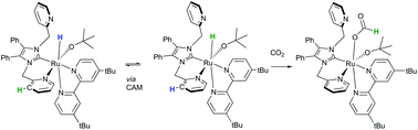 Graphical abstract: Phosphine-free ruthenium NCN-ligand complexes and their use in catalytic CO2 hydrogenation