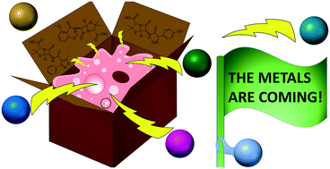 Graphical abstract: Iridium piano stool complexes with activity against S. aureus and MRSA: it is past time to truly think outside of the box