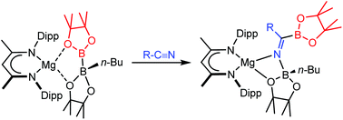 Graphical abstract: Reactivity of a magnesium diboranate with organic nitriles