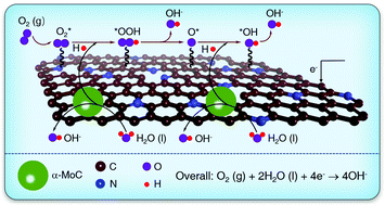 Graphical abstract: Promoted oxygen reduction kinetics on nitrogen-doped hierarchically porous carbon by engineering proton-feeding centers