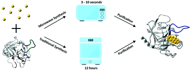 Graphical abstract: Towards the identification of the gold binding region within trypsin stabilized nanoclusters using microwave synthesis routes