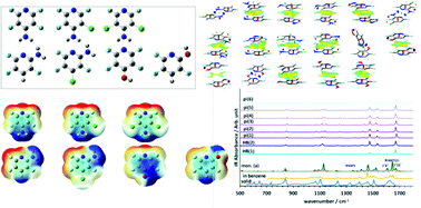 Graphical abstract: How do electron donating substituents affect the electronic structure, molecular topology, vibrational properties and intra- and intermolecular interactions of polyhalogenated pyridines?