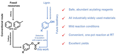 Graphical abstract: Acylation of phenols to phenolic esters with organic salts