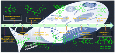 Graphical abstract: Chronological development of functional fluorophores for bio-imaging