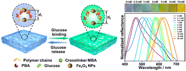 Graphical abstract: A phenylboronic acid-based smart photonic crystal hydrogel sensor for colorimetric detection of glucose