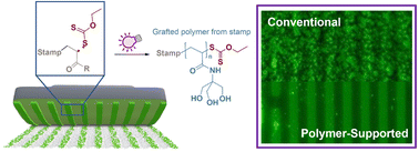 Graphical abstract: Polymer brush-assisted microcontact printing: using a tailor-made polydimethylsiloxane (PDMS) stamp for precise patterning of rough surfaces