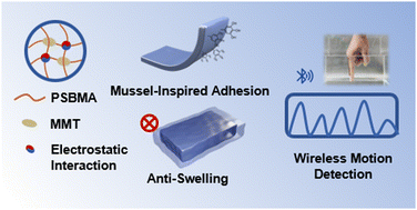 Graphical abstract: Mussel-inspired adhesive and anti-swelling hydrogels for underwater strain sensing