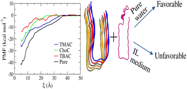 Graphical abstract: Exploring the structure and stability of pentameric amyloid β peptide aggregates in aqueous ammonium-based ionic liquid solutions