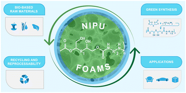 Graphical abstract: Cutting-edge development of non-isocyanate polyurethane (NIPU) foams: from sustainable precursors to environmental impact evaluation