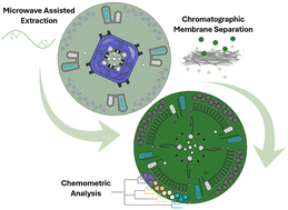 Graphical abstract: Microwave-assisted extraction, separation, and chromogenic detection of laced marijuana for presumptive point-of-interdiction testing