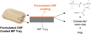 Graphical abstract: Cellulose nanofibril-based hybrid coatings with enhanced moisture barrier properties